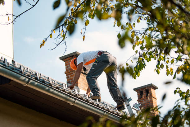 Roof Waterproofing Services in Milbank, SD