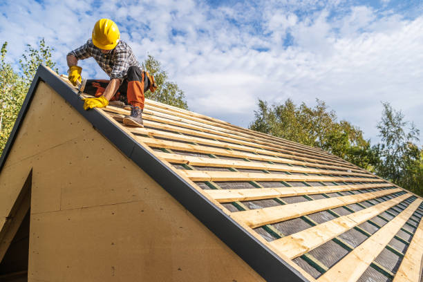 Best Roof Leak Repair  in Milbank, SD
